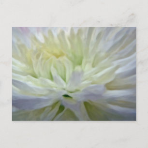 Vitblomma Vykort