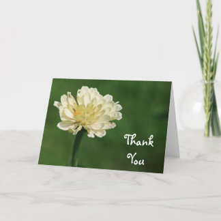 Vitblommatack Tack Kort