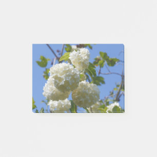 Vitblommor av guelder ro träd post-it block
