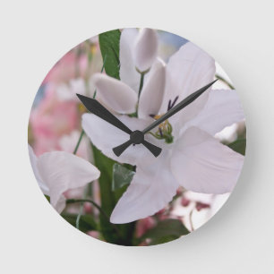 Vitblommor från bröllop blommigt flora, vinrankor rund klocka