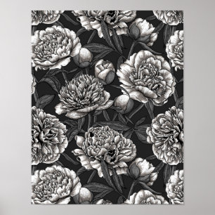 Vitblommor på mörk grått poster