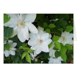 Vitblommor på vindruvor hälsningskort