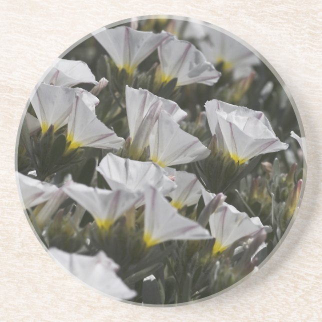 Vitblommor Underlägg (Framsidan)