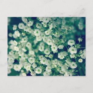 Vitblommor Vykort