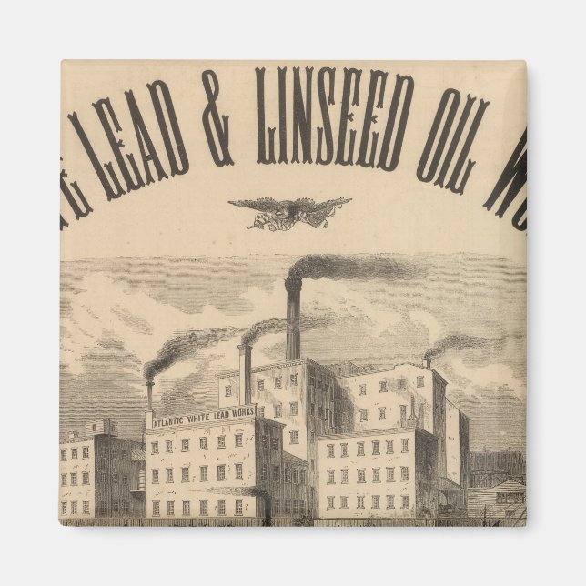 Vitbly och linfröolja i Atlanten Magnet (Framsidan)