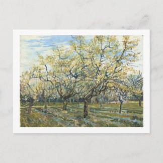 Vitboken (F403) Van Gogh Fine Art Vykort