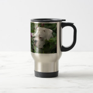 Vitboxare i rosa Rhodies Resemugg