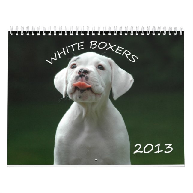 Vitboxarekalender 2013 kalender (Omslag)