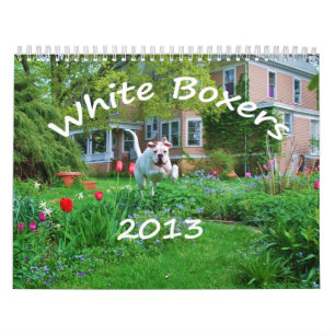Vitboxarekalender 2013 kalender