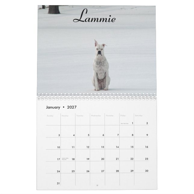 Vitboxarekalender 2015 kalender (Jan 2027)