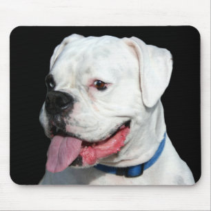 Vitboxaremousepad Musmatta
