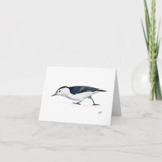 Vitbröstad nuthatch anteckningskort