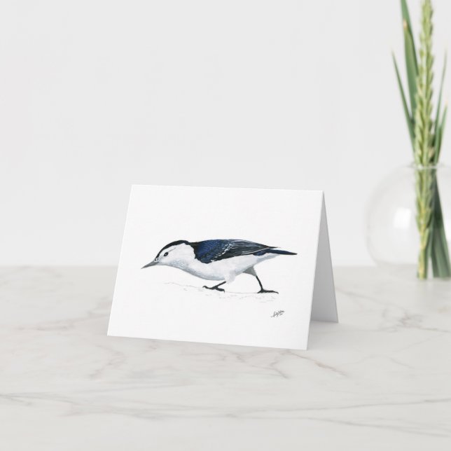 Vitbröstad nuthatch anteckningskort (Framsida)