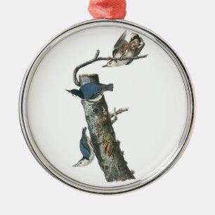 Vitbröstad nuthatch av Audubon Julgransprydnad Metall