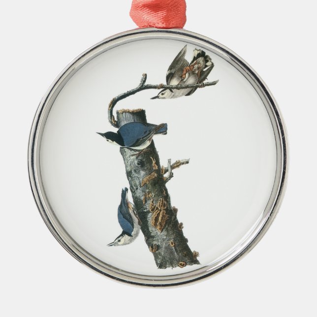 Vitbröstad nuthatch av Audubon Julgransprydnad Metall (Framsidan)