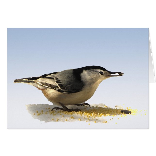 Vitbröstad nuthatch hälsningskort (Framsidan Horizontal)