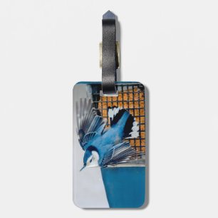 Vitbröstad nuthatch i Snö - Originalfoto Bagagebricka