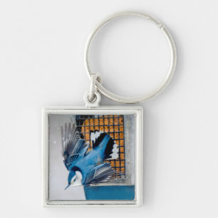 Vitbröstad nuthatch i Snö - Originalfoto Fyrkantig Silverfärgad Nyckelring