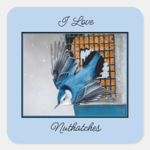 Vitbröstad nuthatch i Snö - Originalfoto Fyrkantigt Klistermärke