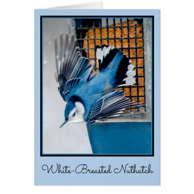Vitbröstad nuthatch i Snö - Originalfoto Hälsningskort (Framsidan)