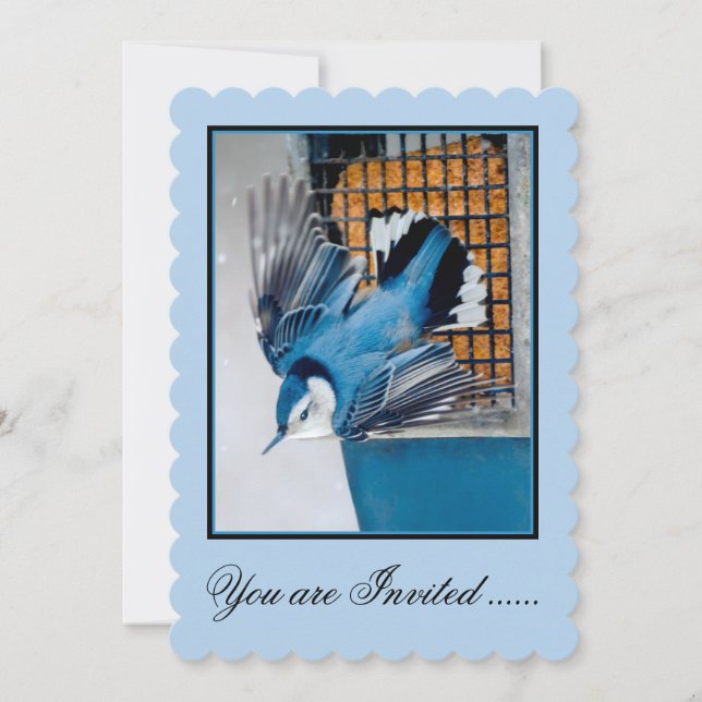 Vitbröstad nuthatch i Snö - Originalfoto Inbjudningar (Framsida)