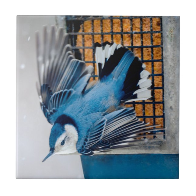 Vitbröstad nuthatch i Snö - Originalfoto Kakelplatta (Framsidan)