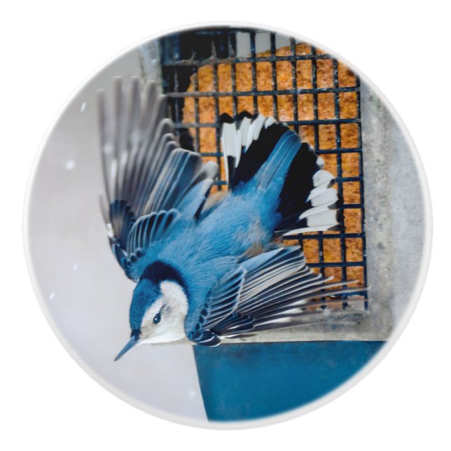 Vitbröstad nuthatch i Snö - Originalfoto Knopp (Framsidan)