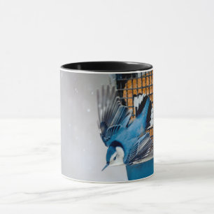 Vitbröstad nuthatch i Snö - Originalfoto Mugg
