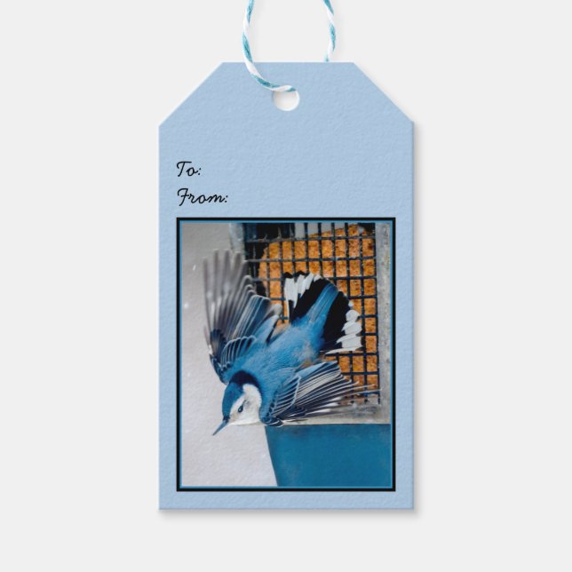 Vitbröstad nuthatch i Snö - Originalfoto Presentetikett (Framsidan)