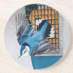 Vitbröstad nuthatch i Snö - Originalfoto Underlägg