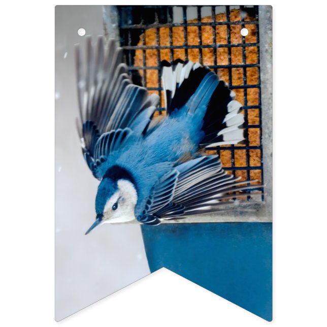 Vitbröstad nuthatch i Snö - Originalfoto Vimplar (Första flaggan)