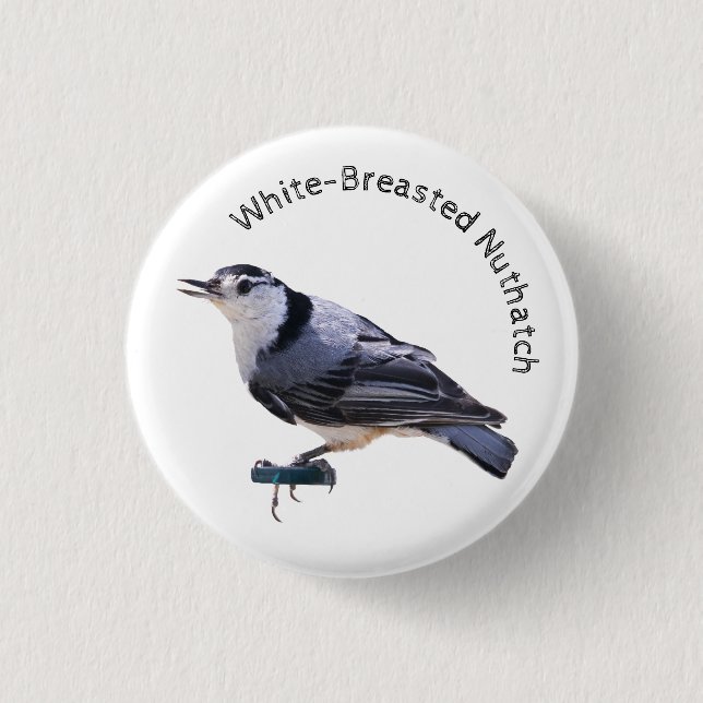 Vitbröstad nuthatch knapp (Framsida)