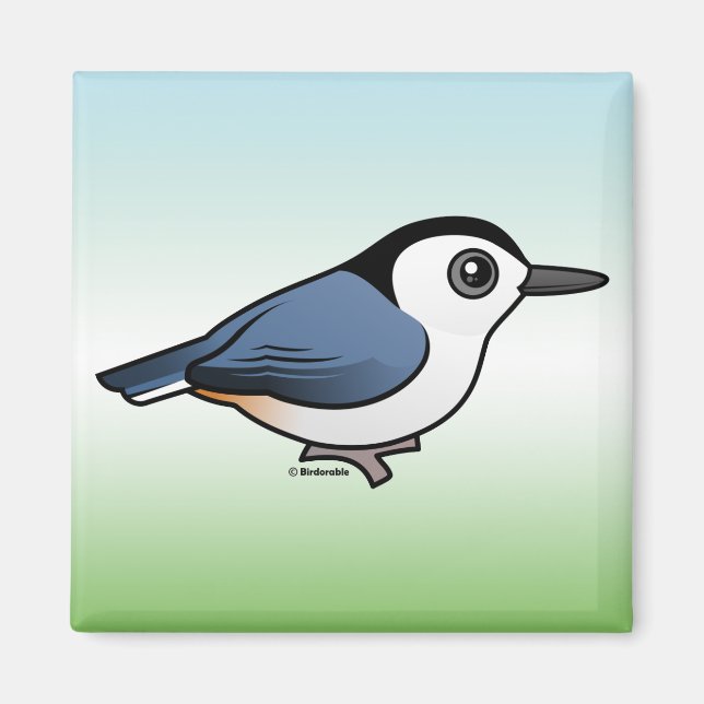 Vitbröstad nuthatch magnet (Framsidan)