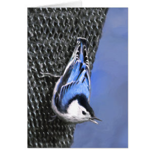 Vitbröstad nuthatch-målning Original Bird Art Hälsningskort