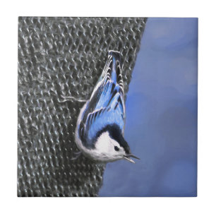 Vitbröstad nuthatch-målning Original Bird Art Kakelplatta