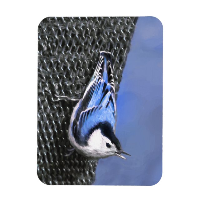 Vitbröstad nuthatch-målning Original Bird Art Magnet (Vertikal)