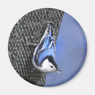 Vitbröstad nuthatch-målning Original Bird Art Magnet