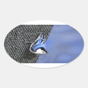 Vitbröstad nuthatch målning Original Bird Art Ovalt Klistermärke