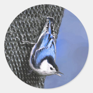 Vitbröstad nuthatch-målning Original Bird Art Runt Klistermärke