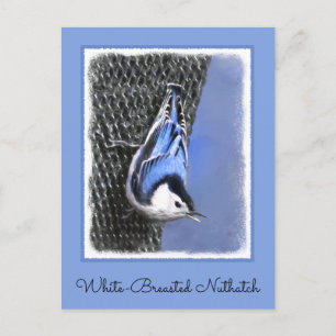 Vitbröstad nuthatch-målning Original Bird Art Vykort