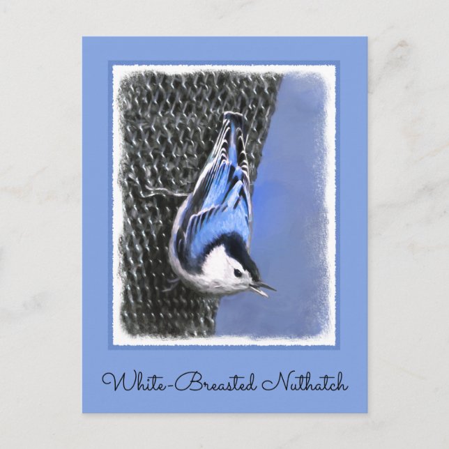 Vitbröstad nuthatch-målning Original Bird Art Vykort (Framsida)