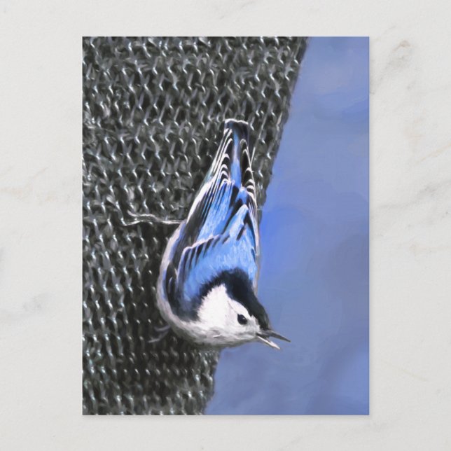 Vitbröstad nuthatch-målning Original Bird Art Vykort (Framsida)