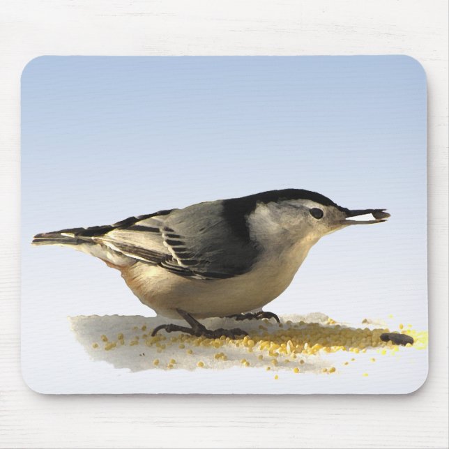 Vitbröstad nuthatch musmatta (Framsidan)