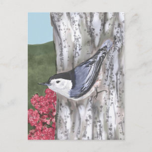 Vitbröstad nuthatch och Rosa Flowers vykort
