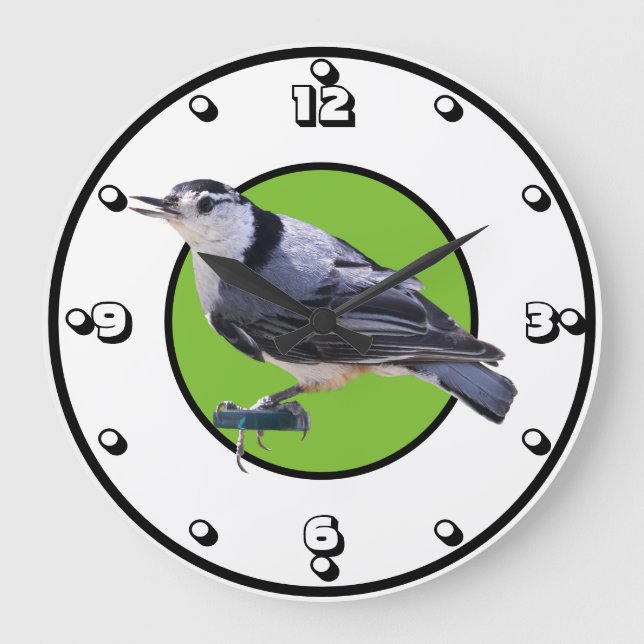Vitbröstad nuthatch stor klocka (Framsida)