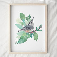 Vitbröstad utskrift av nuthatch-fågelbild
