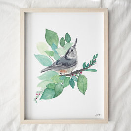 Vitbröstad utskrift av nuthatch-fågelbild poster