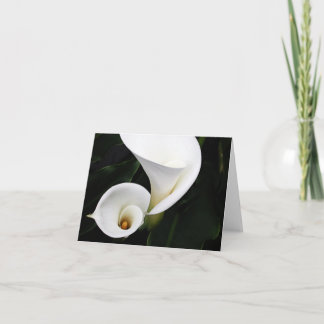 Vitcalla Lillies Kort