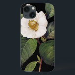 VitCamellia<br><div class="desc">(Camelliajaponica). Gravyr efter en målning av Pierre-Joseph Redoute för hans "positiva Belles Fleurs för Choix des, " Paris, 1833. | legitimation: 0007555</div>