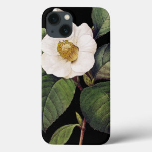 VitCamellia